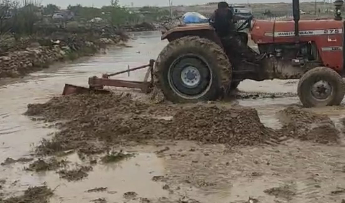 Bugün öğleden sonra Kutlu