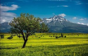 Aksaray Belediye Başkanı Evren Dinçer’in Sırları! Doğa Güzellikleriyle Sosyal Medyada Gündem Oldu!