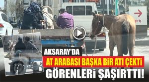 Aksaray’da At Arabası başka bir Atı çekti Görenleri Şaşırttı!