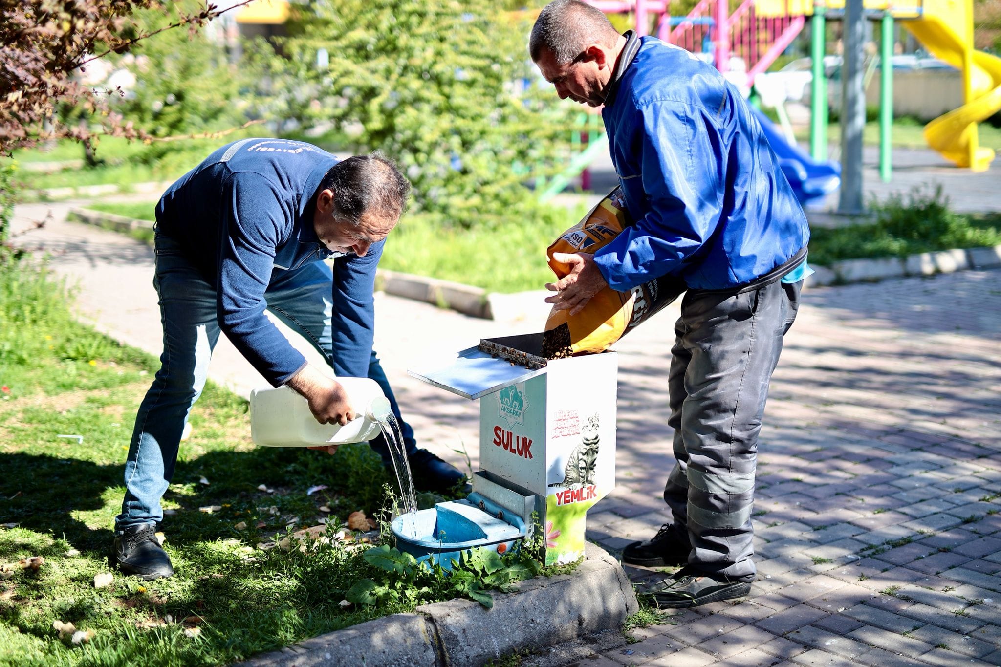 Aksaray Belediyesi sokak hayvanlarının