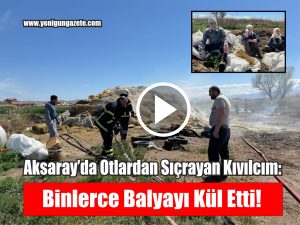 Aksaray’da Otlardan Sıçrayan Kıvılcım: Binlerce Balyayı Kül Etti!