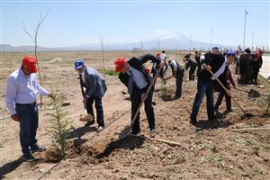 Aksaray’da Yeşile Adım: ASÜ Kampüsünde Büyük Ağaç Dikim Etkinliği Başlıyor!