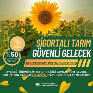 Ayçiçeği üreticileri dikkat; Son tarih 10 Haziran