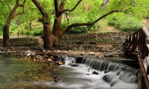 Ramazan bayramında milli parklar ve tabiat parkları çok sayıda kişide ağırladı işte detaylar