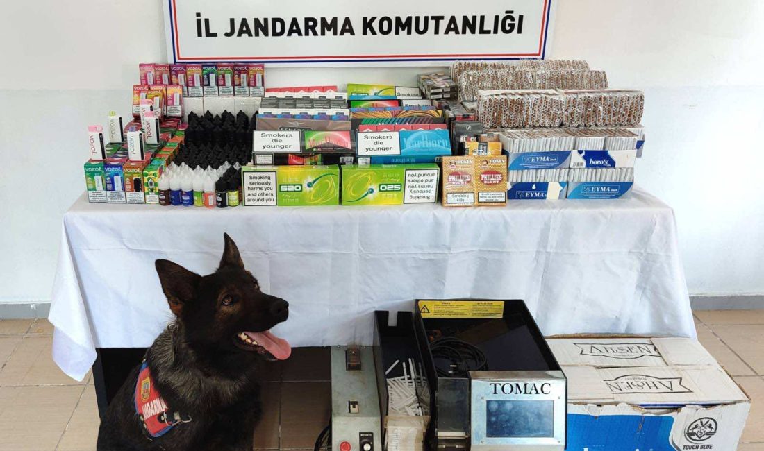 Kayseri’de jandarma ekiplerince 12