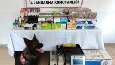 Kayseri’de jandarma ekiplerince 12 bin 840 dolu makaron (sigara kağıdı)