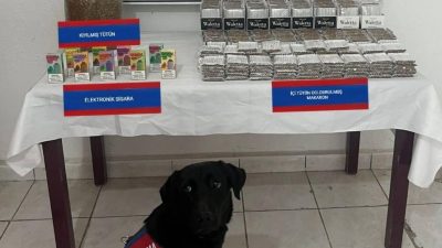 Yozgat’ta jandarma ekiplerince 10 bin 130 dolu makaron, 3 kilogram
