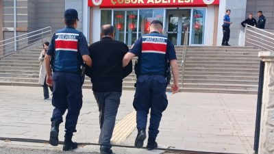 Ankara’nın Çubuk ilçesinde, yabancı uyruklu kadının mantar toplamak için gittiği