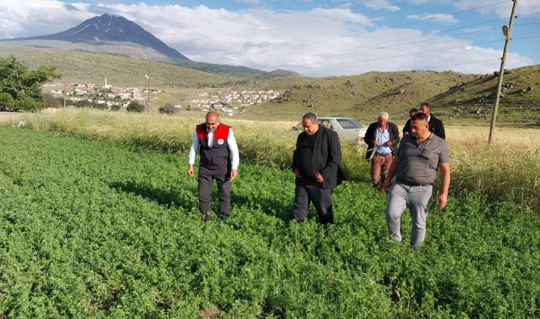 Aksaray Tarım ve Orman