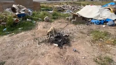 Aksaray’da okuldan eve dönerken bir köpeğin saldırısına uğrayan 16 yaşındaki