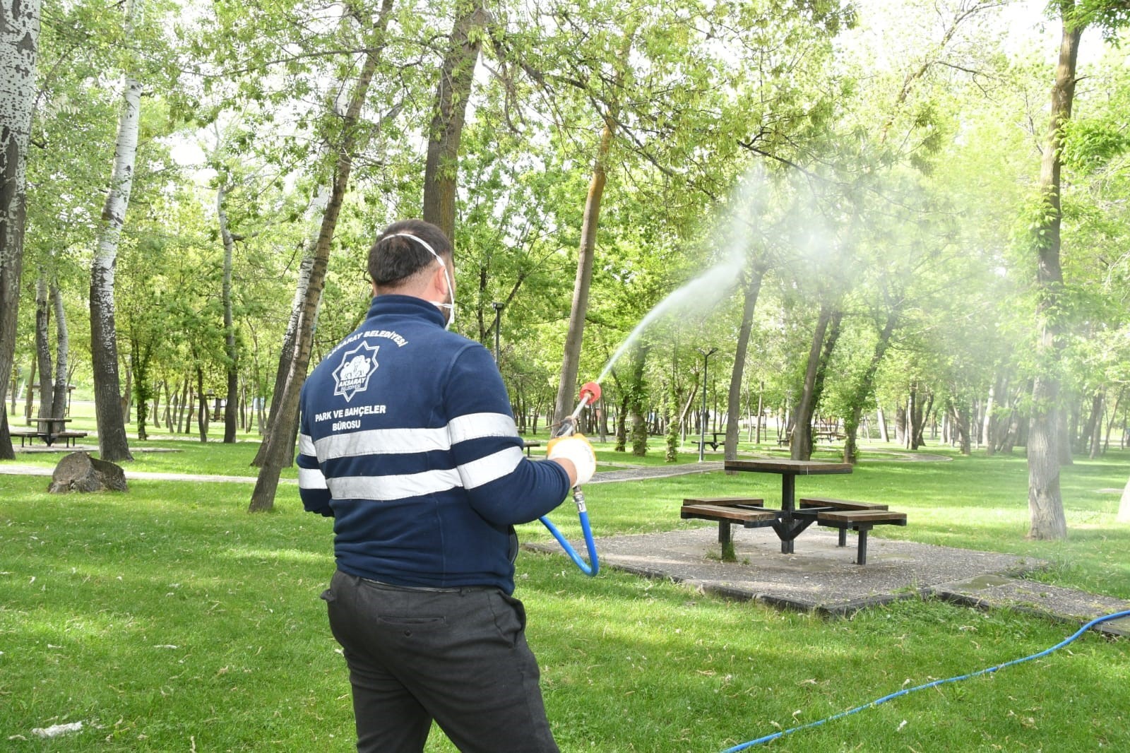 Aksaray Belediyesi Yeşil Alanlarda Savaş Başlattı: İlaçlama Çalışmaları Hız Kesmiyor!