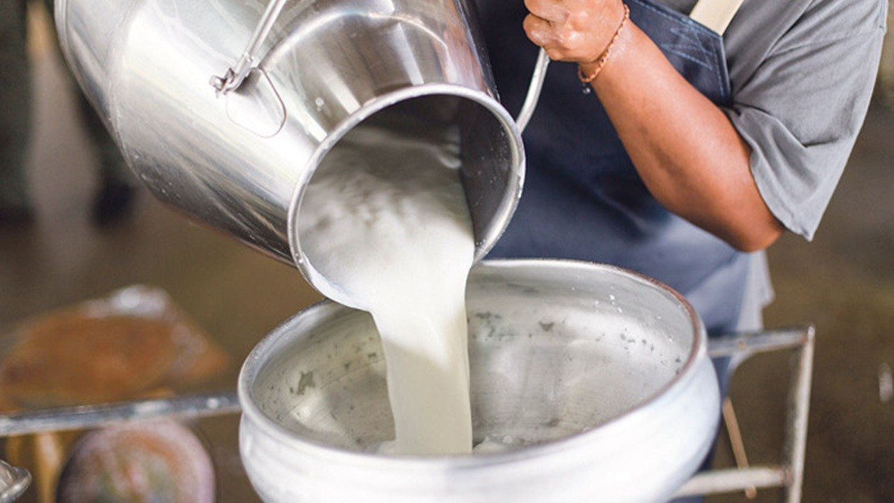 TÜİK Açıkladı: Çiğ Süt Üretiminde Azalma!
