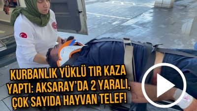 Kazada 1’i ağır 2 kişi yaralandı çok sayıda hayvan telef