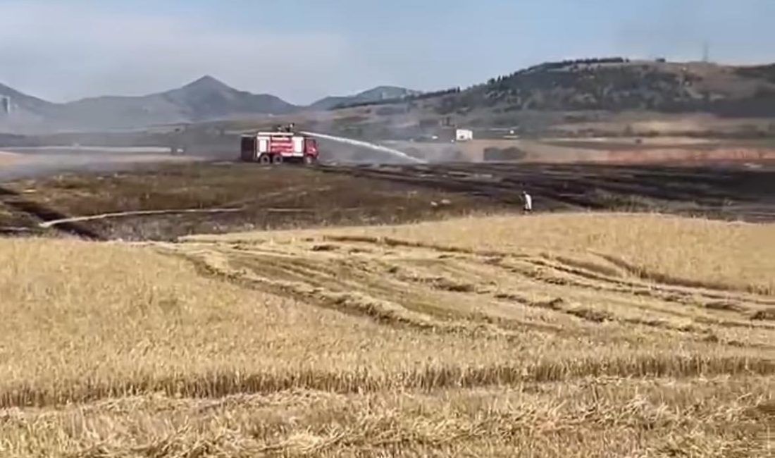 Aksaray Belediye Başkanı Dr.