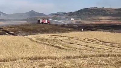 Aksaray Belediye Başkanı Dr. Evren Dinçer, anız yakmanın toprağa ve