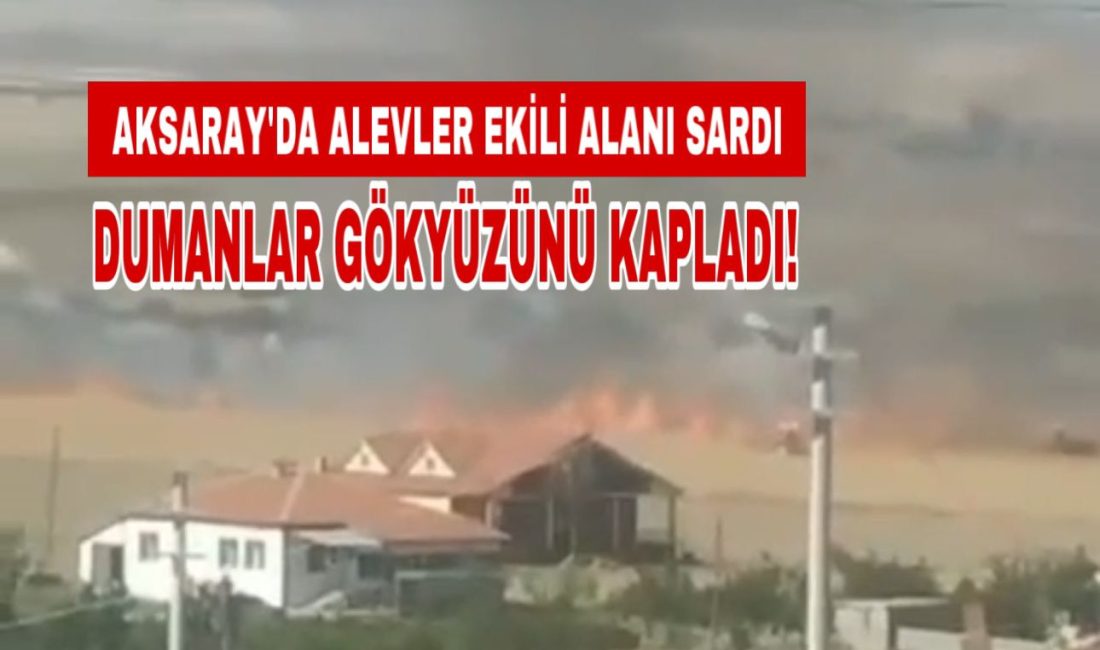 Aksaray'ın Sevinçli köyünde, arpa