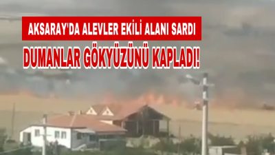 Aksaray'ın Sevinçli köyünde, arpa ekili yaklaşık 50 dönümlük arazi henüz