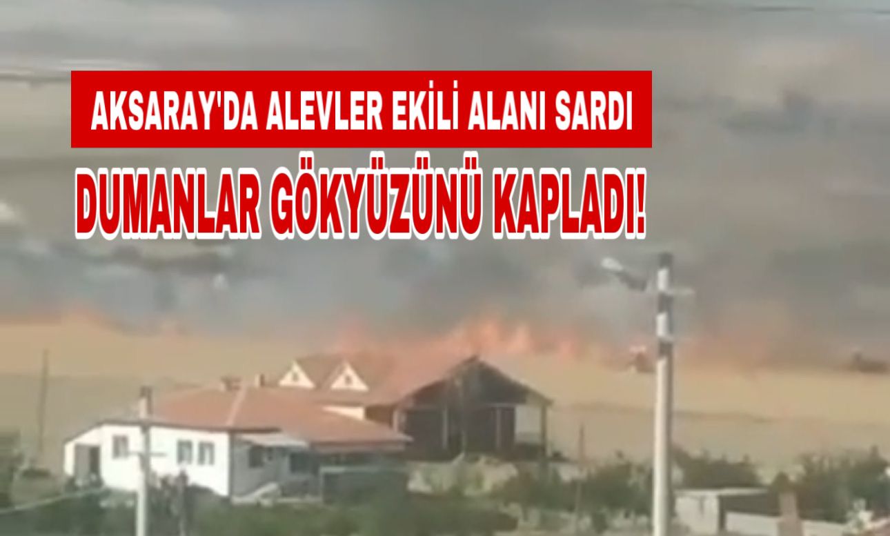 Aksaray’da tarım arazisi alevlere teslim oldu! İşte o anlar!