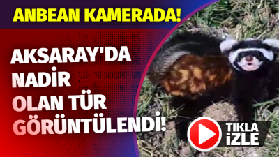 Aksaray’ın Ortaköy ilçesine bağlı Akpınar köyünde, tarla dönüşü Şenol Ateş’in
