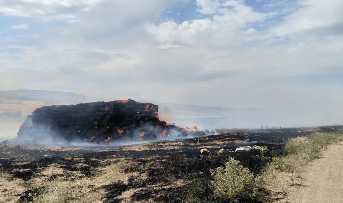 Aksaray'ın Ağaçören ilçesi Yeni