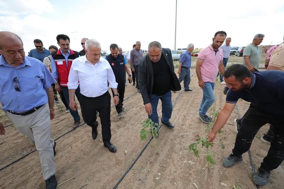 Yenikent’te dolu felaketi: Hasar tespit çalışmaları başladı!