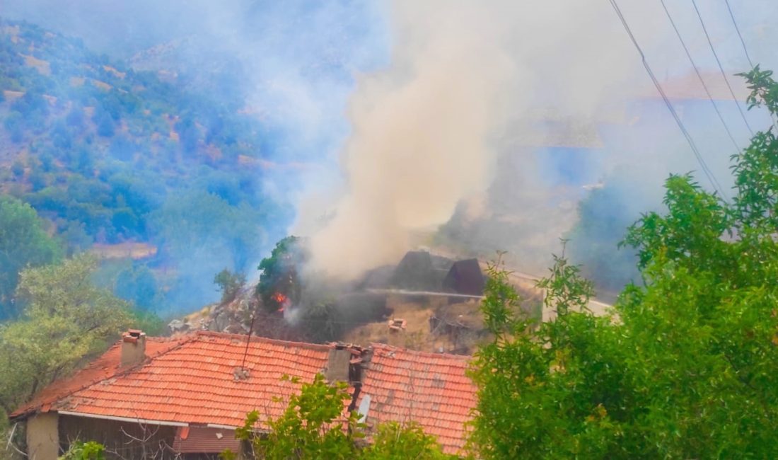 Ankara’nın Nallıhan ilçesinde çıkan