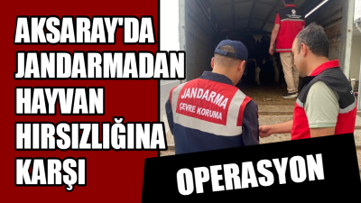 Aksaray İl Jandarma Komutanlığı, Kurban Bayramı öncesinde artan hayvan sevk