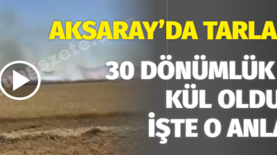Aksaray’ın Balcı köyünde, biçerdöverin tarlada çalıştığı esnada çıkan yangın, 30