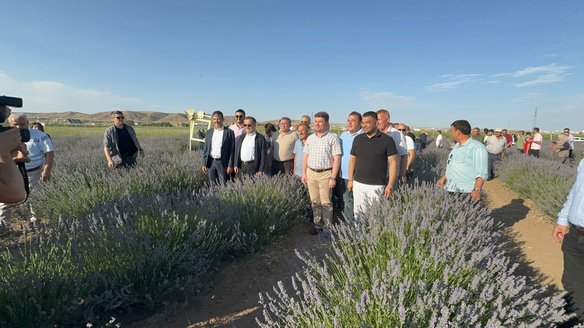 Aksaray’ı mor dalgalar sardı: Lavanta Bahçesi yeniden çiçeklendi!