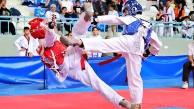 Aksaray'da düzenlenen iller arası taekwondo dostluk turnuvası, 9 ilden yaklaşık