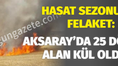 Aksaray merkeze bağlı Karaören Köyünde, hasat sezonunun başlaması ile çıkan