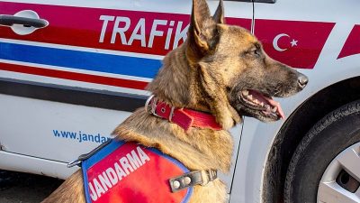 &nbsp; Karaman’ın Sarıveliler ilçesinde kaybolan kişi, jandarmanın iz takip köpekleri