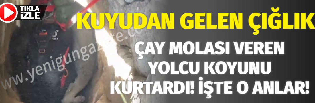 Koyunun hayatı, yolculuk esnasında