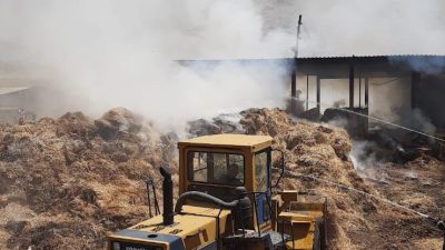 Konya’nın Ilgın ilçesinde saman balyaları ve yem bitkilerinin olduğu çiftlikte