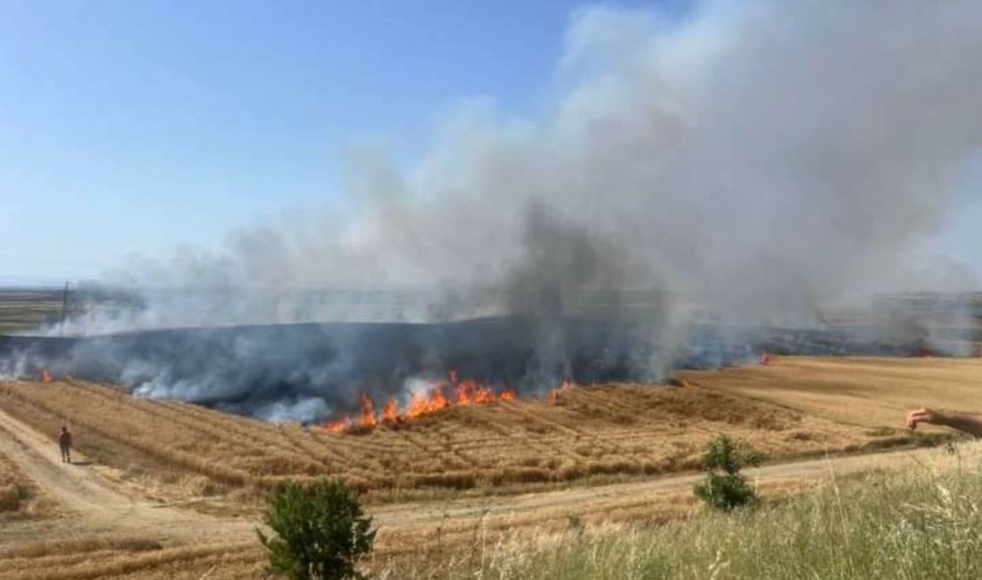 Aksaray’da hasat sezonunun başlamasıyla