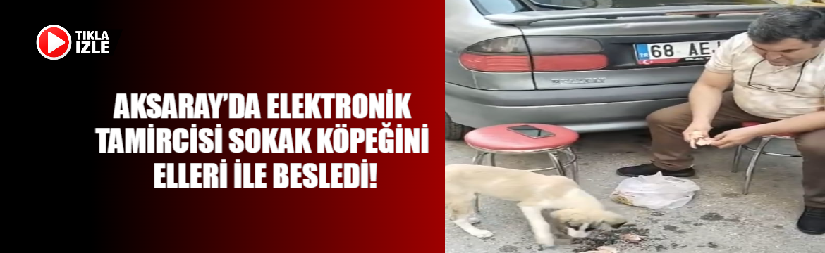 Aksaray’da Elektronik Tamircisi Sokak Köpeğini Elleri İle Besledi!