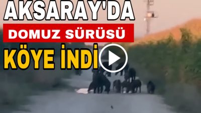 Aksaray Eskil ilçesinin Kaputaş köyünde, motosikletle gezen gençler tarafından cep