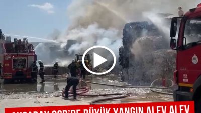 Aksaray Organize Sanayi Bölgesi'nde (OSB) faaliyet gösteren Dentaş Kağıt Fabrikasında