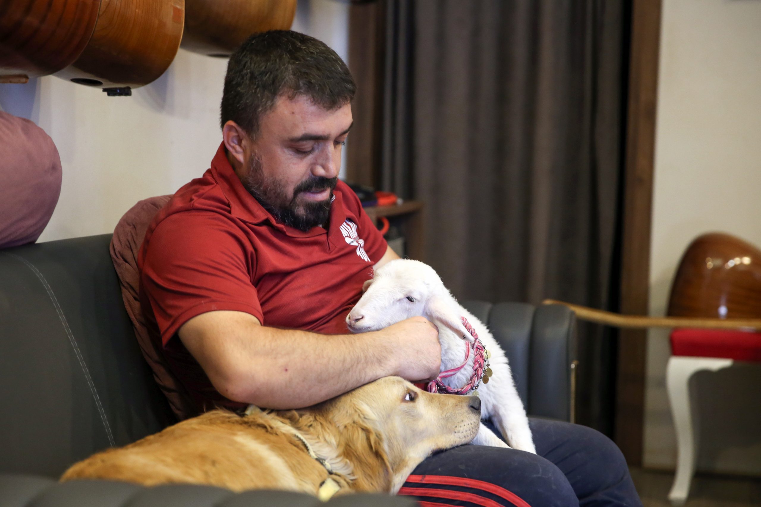 Bağlama ustasının yoldaşı, kuzu, köpek ve oğlak oldu