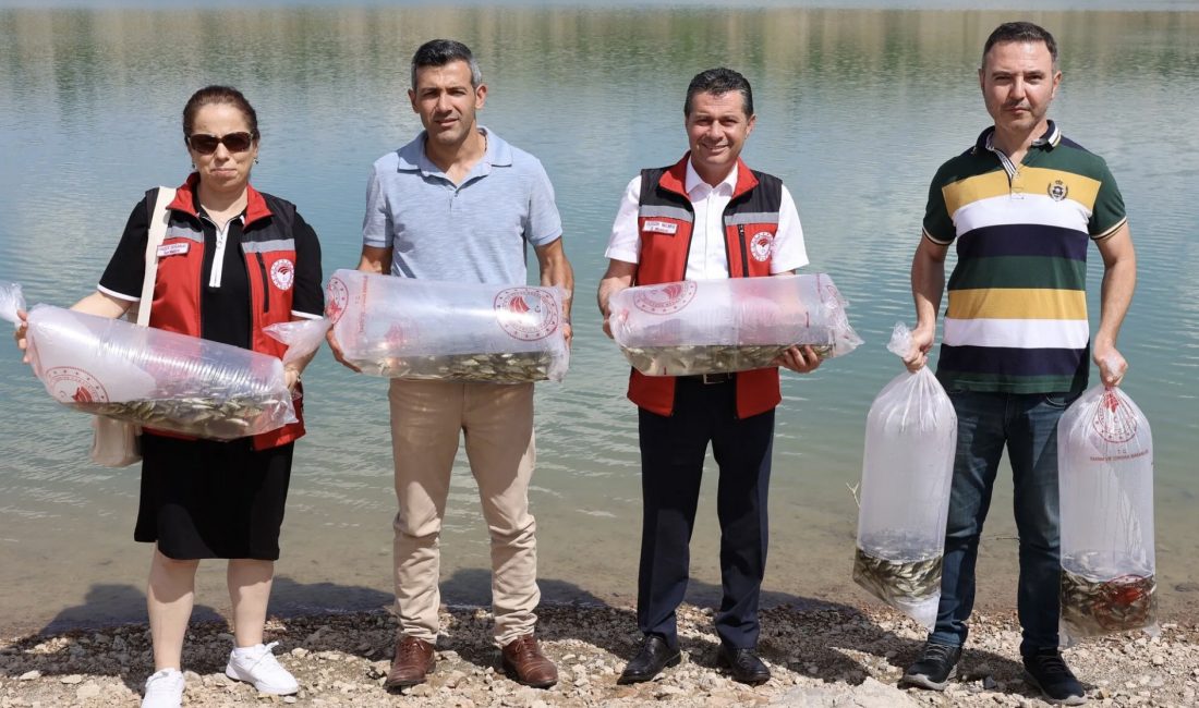 Nevşehir'deki çeşitli baraj göletlerine