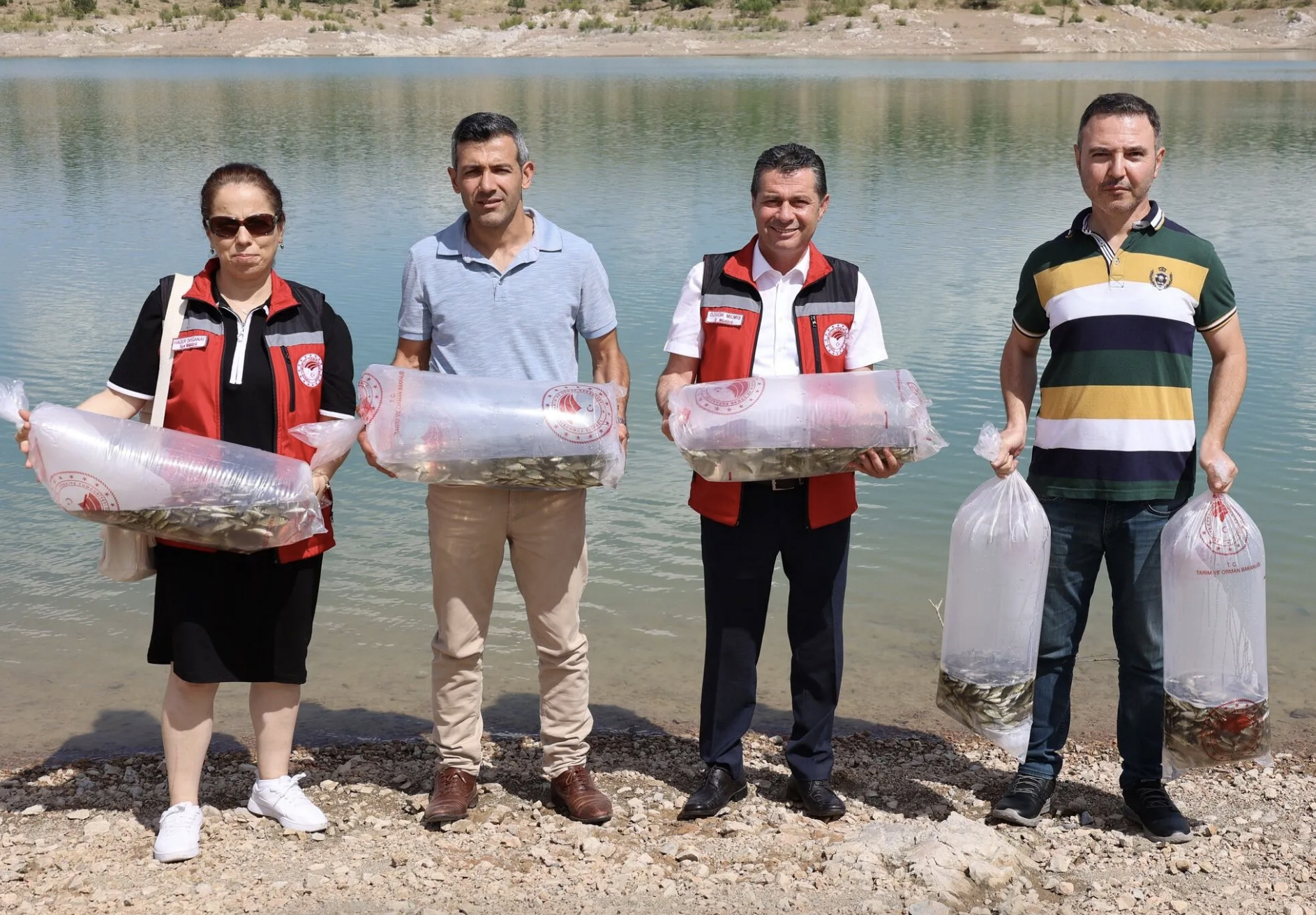 Baraj göletlerine 720 bin sazan yavrusu bırakıldı