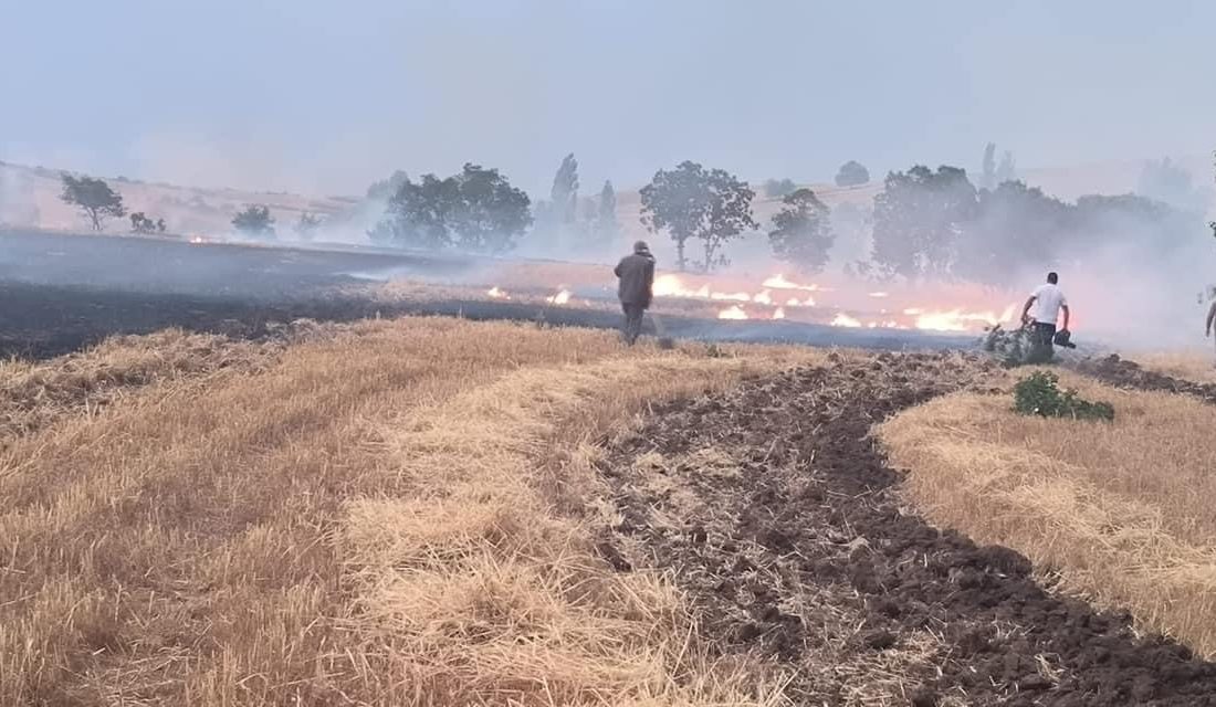 Aksaray merkeze bağlı Yanyurt köyünde meydana gelen yangında, biçerdöverden kaynaklandığı