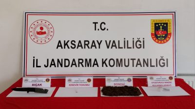 Aksaray İl Jandarma Komutanlığı ekipleri tarafından şehir içerisinde icra edilen