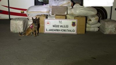 Niğde’de bir otobüse düzenlenen operasyonda 870 kilogram kaçak tütün ele