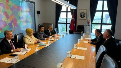 AK Parti Aksaray Milletvekili, Türkiye Büyük Millet Meclisi (TBMM) Plan
