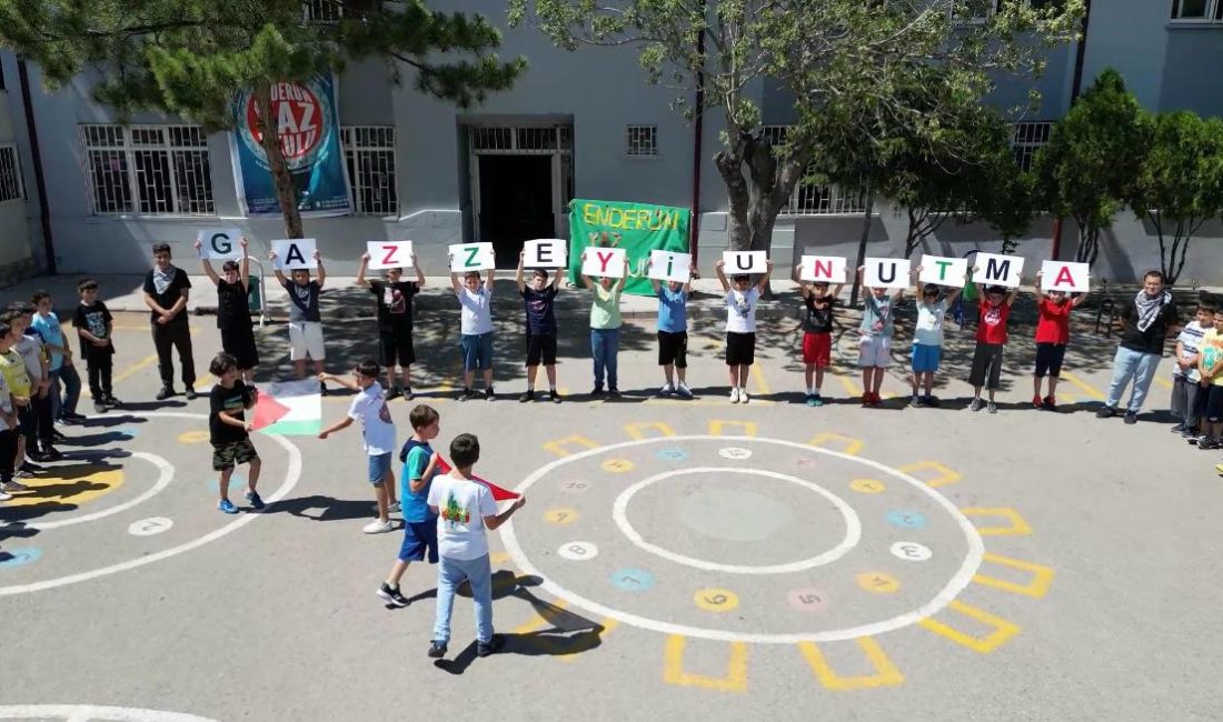 Aksaray Enderun Eğitim Vakfı