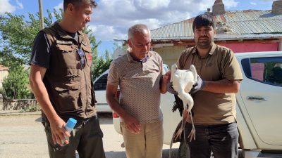 Kayseri’de yaralı bulunan kerkenez ile leylek tedavi altına alındı. Doğa
