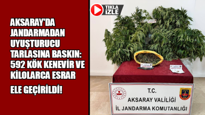 Aksaray İl Jandarma Komutanlığı tarafından düzenlenen operasyonda, yasa dışı kenevir