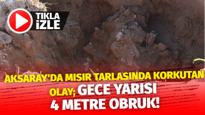 Aksaray'ın Sultanhanı ilçesinde, Hacı Neşeli'ye ait mısır tarlasında yaklaşık 3