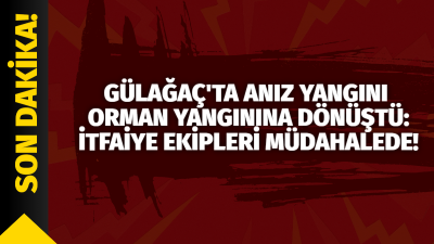 Aksaray’da anız yangını Ormanlık alana sıçradı; Söndürme çalışmaları devam ediyor!